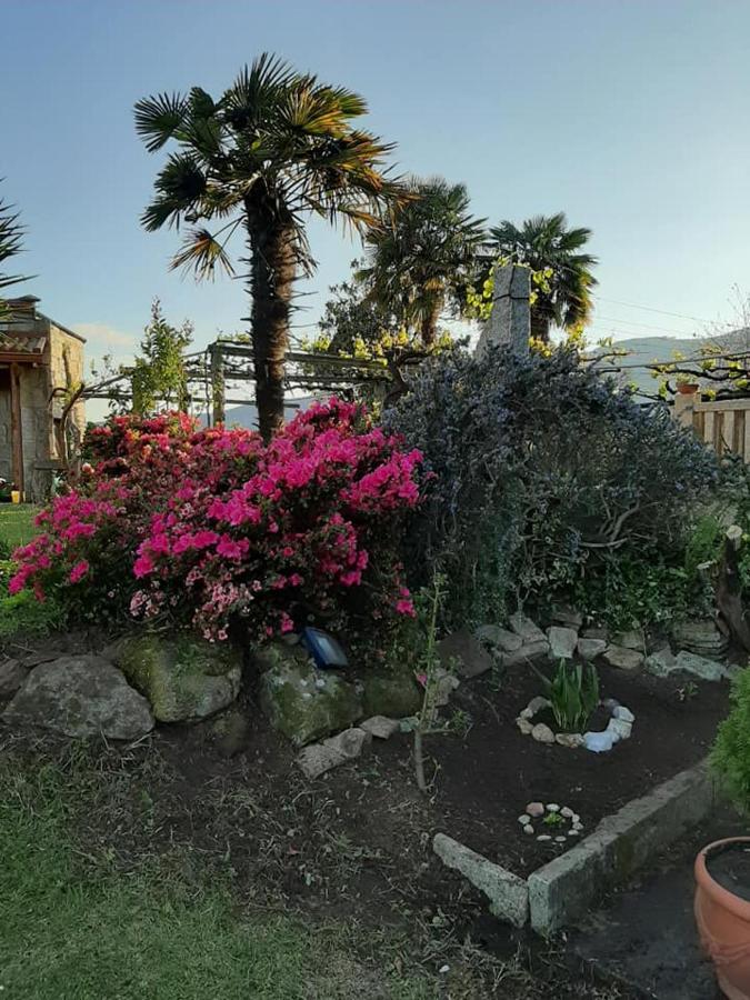 Os Areeiros Turismo Rural & Bodega Santa Cristina De Cobres Екстериор снимка